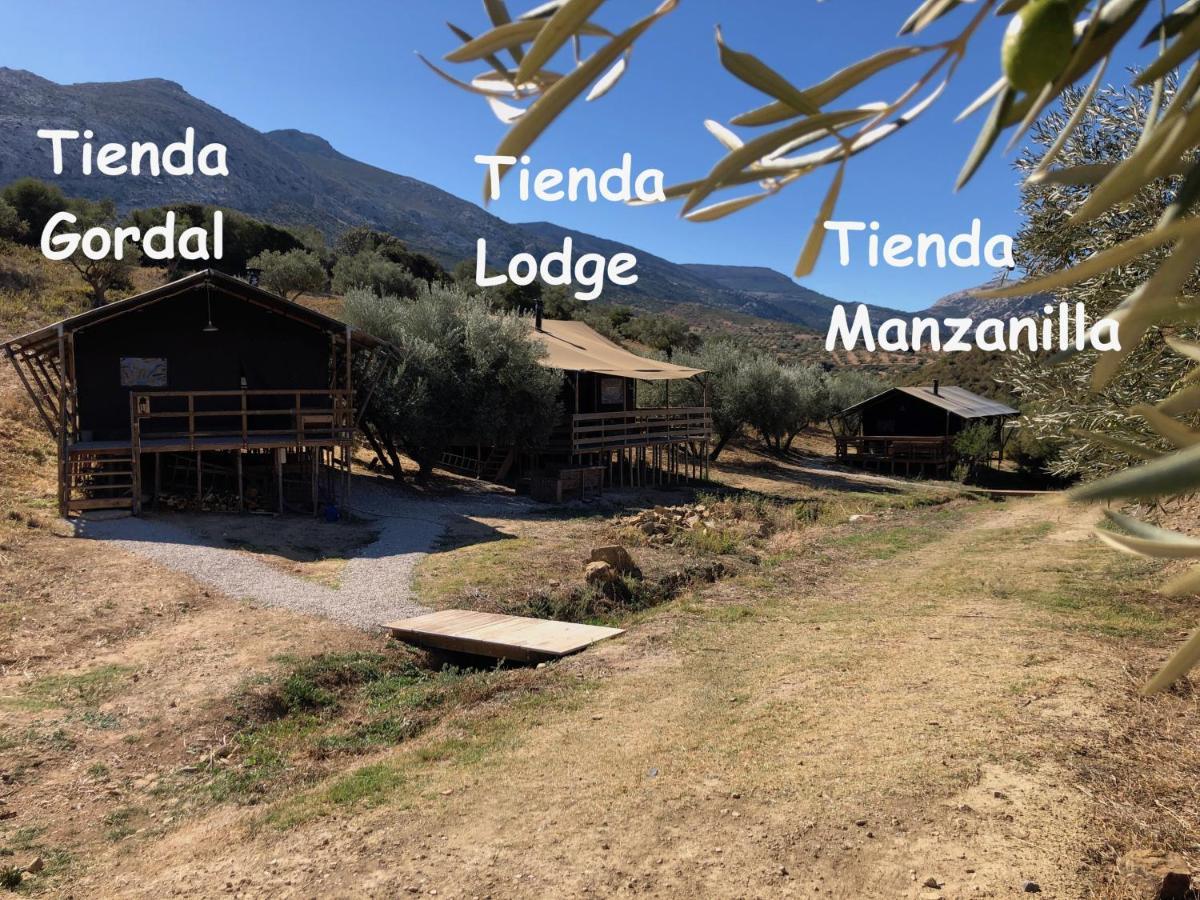 Cortijo Dos Santos *